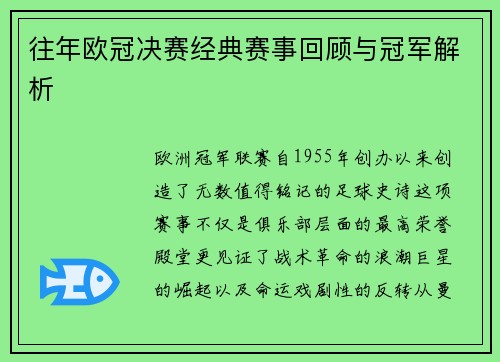 往年欧冠决赛经典赛事回顾与冠军解析
